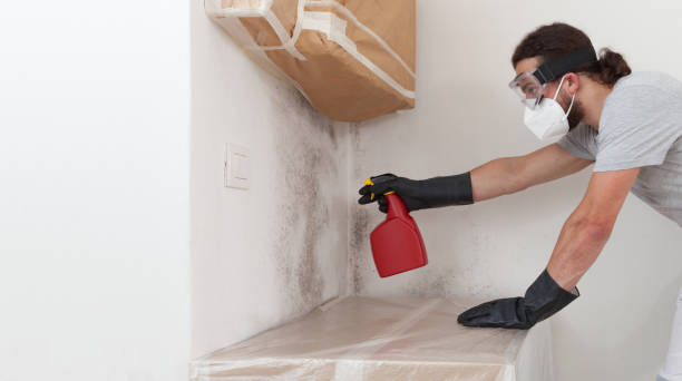 Professional Mold Removal technician working in Babylon, NY